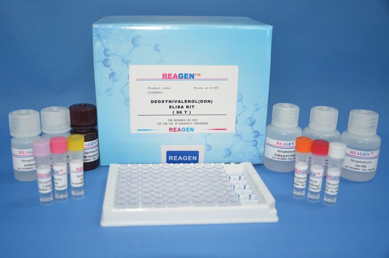 Bioindex T4 EIA Hormone Test Kit - 96 Test in Bangladesh