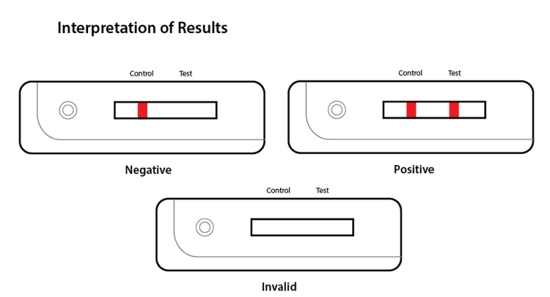 Chikungunya Test Device