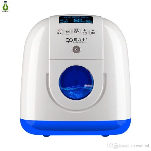 Portable Oxygen Concentrator