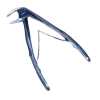 Lower Anterior Extraction Forceps