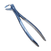 Lower Molar Dental Extraction Forceps