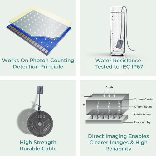 Xpect Vision Intraoral Sensor (RVG)