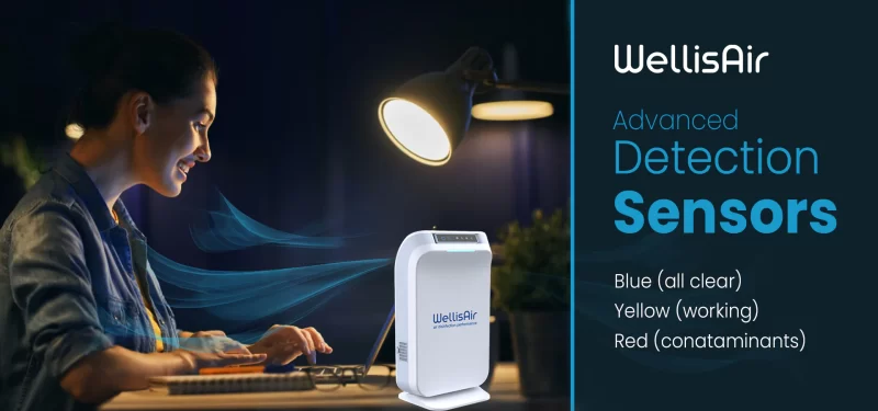 wellisair air purifier 10