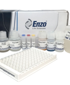 HBsAg Hormone Test Kit - ENZO