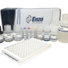 HBsAb (Anti-HBs) - Quantitative Hormone Test Kit - ENZO