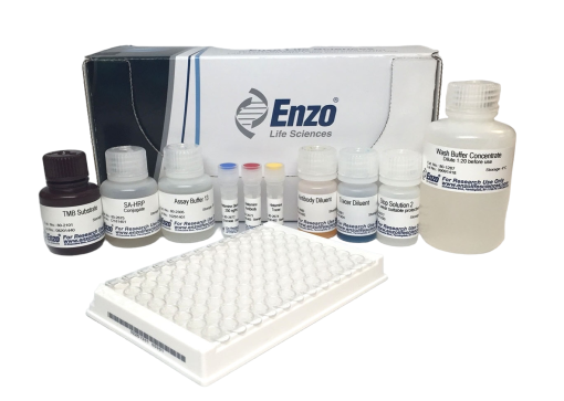 HBsAb (Anti-HBs) - Quantitative Hormone Test Kit - ENZO