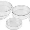 Transparent Plastic Petri Dish