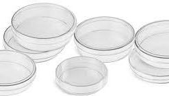 Transparent Plastic Petri Dish