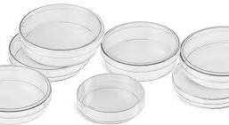 Transparent Plastic Petri Dish